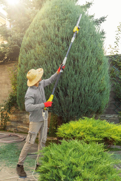 Best Storm Damage Tree Cleanup  in Rosendale, WI